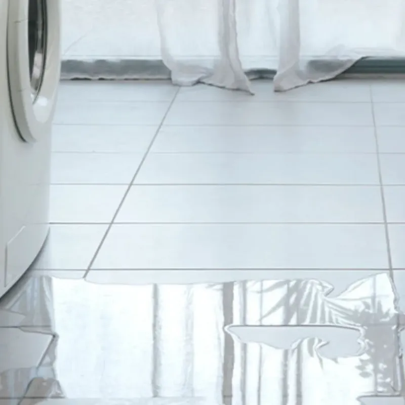 Appliance Leak Cleanup in Louisa County, VA