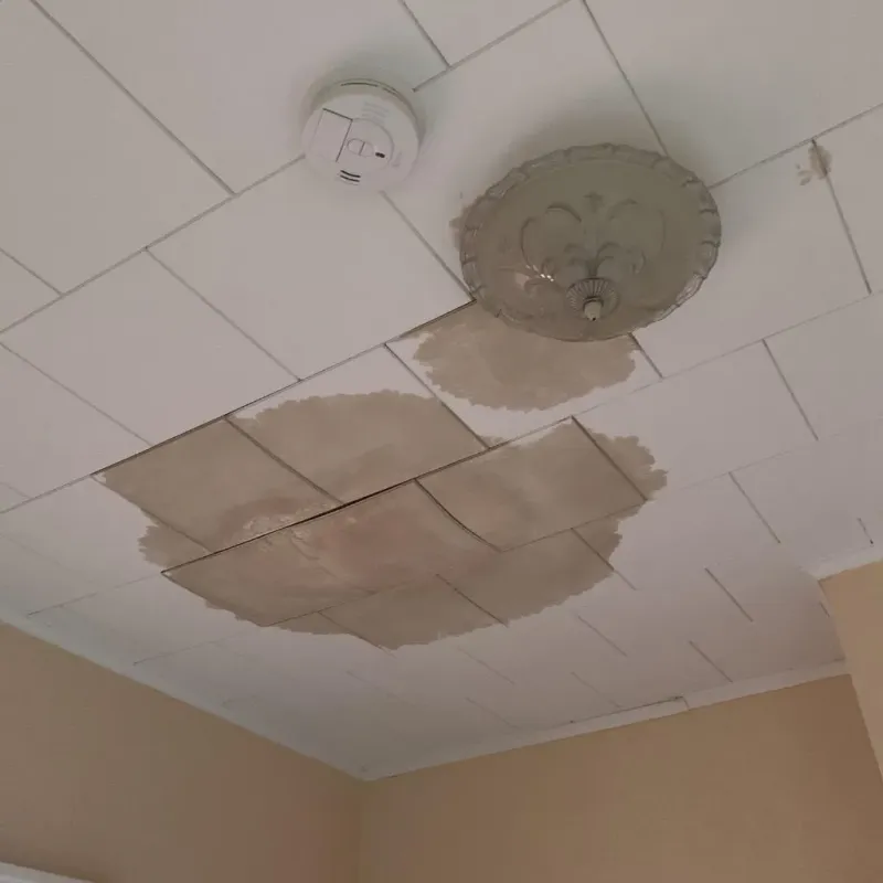 Ceiling Water Damage Repair in Louisa County, VA