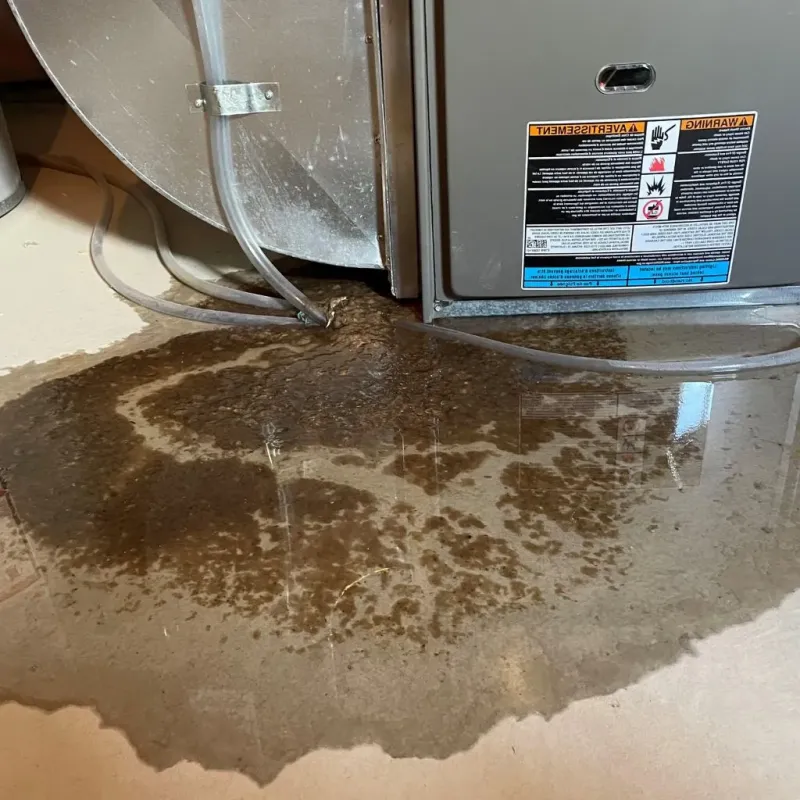 Pipe Burst and Leak Restoration in Louisa County, VA